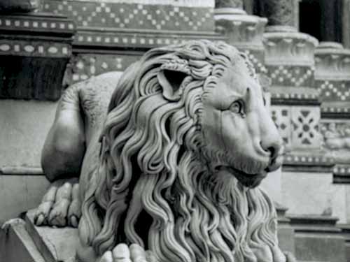 Cattedrale di San Lorenzo, statua di leone